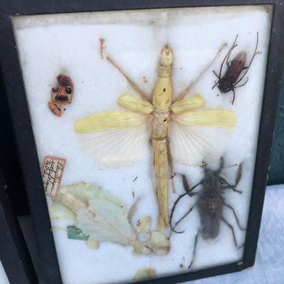 #32 - Reverse Glass Painting with Butterfly Wings, Other Art, and Two Glass Sets