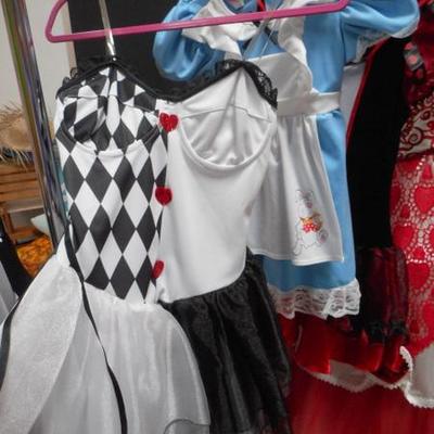 Lot 847 - Alice In Wonderland Costumes + Extendable Clothes Rack