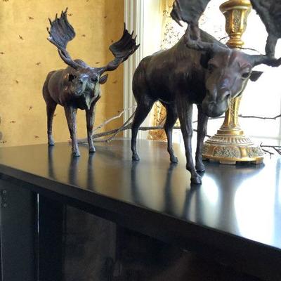 Moose