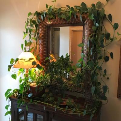 Healthy Ivy in Attractive Burgundy Pot