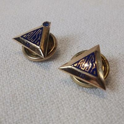 Pair of Gold Service Pins