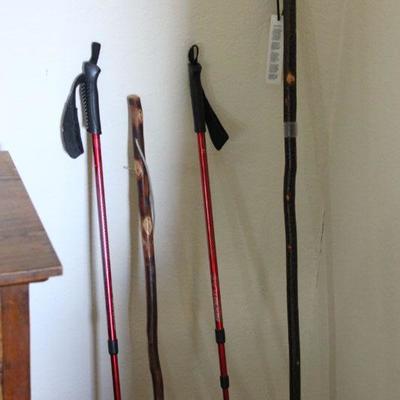 Lot 57 Walking Sticks