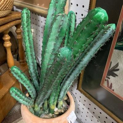 Cactus in a pot 