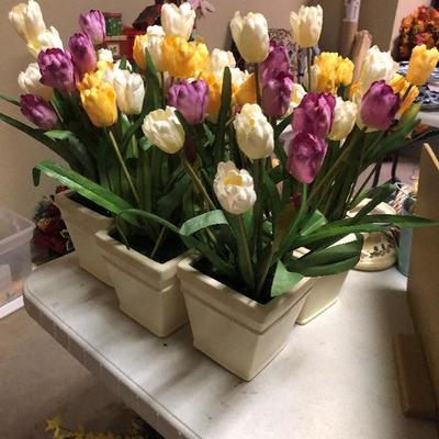 Spring flowers