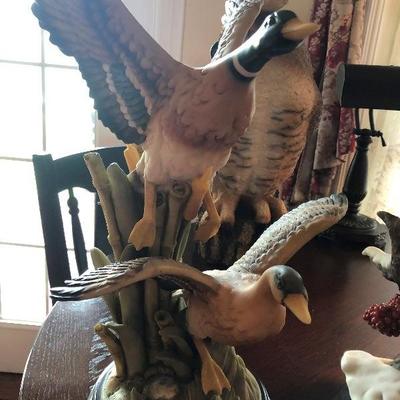 Birds in flight