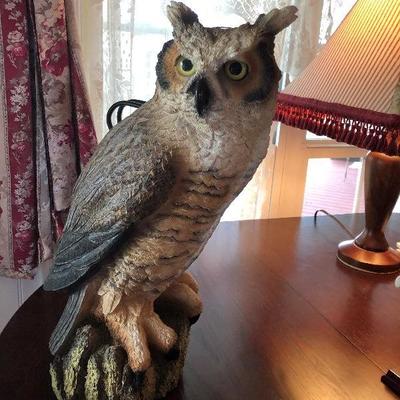 Owl