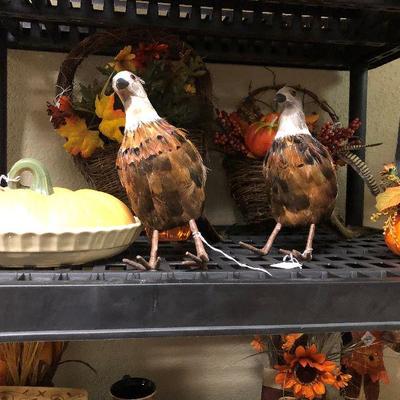 Fall seasonal 2