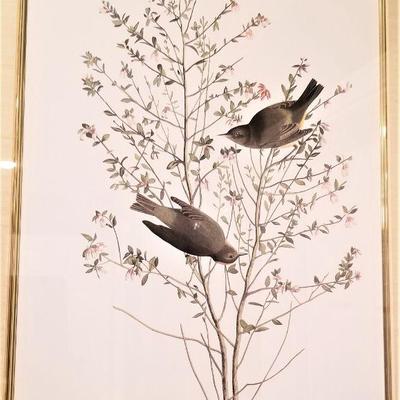 Lot #2 Nice Pair of Framed Bird Prints - Unknown Artist