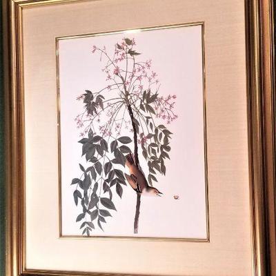 Lot #2 Nice Pair of Framed Bird Prints - Unknown Artist