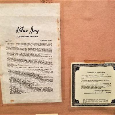 Lot #3  Large Framed Richard Sloane Bird Print - Blue Jay