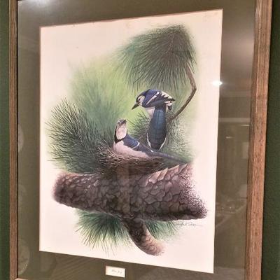 Lot #3  Large Framed Richard Sloane Bird Print - Blue Jay