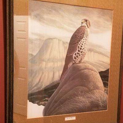 Lot #16  Framed Richard Sloan Bird Print - Prairie Falcon