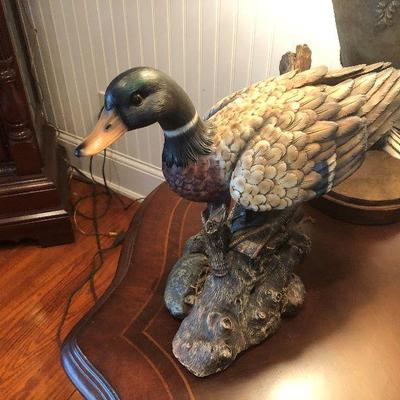 Duck
