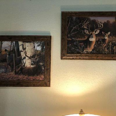Two deer pictures