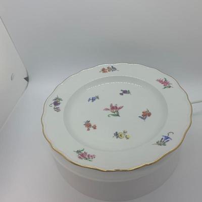 Set of 6 antique set of 6 Antique Meissen scattered flowers pattern dinner plates