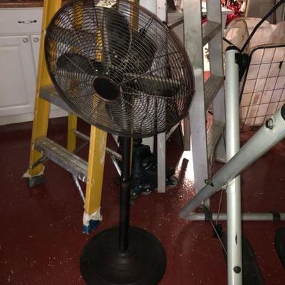 Fan