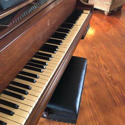 Steinway Grand Piano