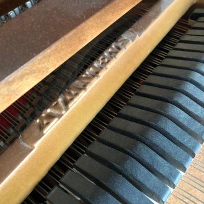 Steinway Grand Piano