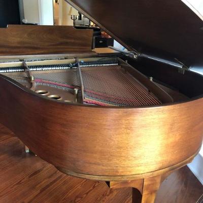Steinway Grand Piano