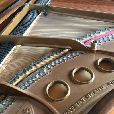 Steinway Grand Piano