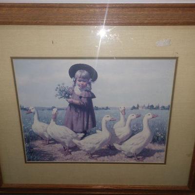 Little girl surrounded by Geese 