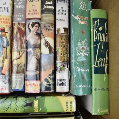 Qty 20 Vintage Fiction Books, All Hardcover