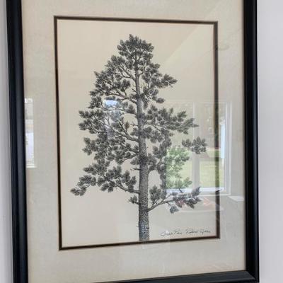 Framed Richard Sparre Drawing "Cape Pine"  