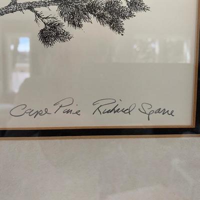 Framed Richard Sparre Drawing "Cape Pine"  