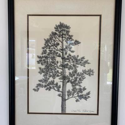 Framed Richard Sparre Drawing "Cape Pine"  