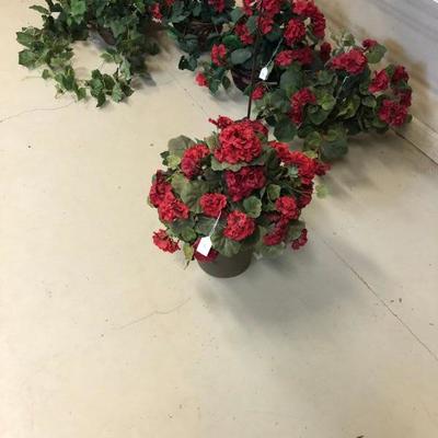 Geraniums and greenery