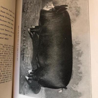 1907 Guthrie Ranche Sale of Relation Robin Hoods Strong City, Ks  Original Brochure 