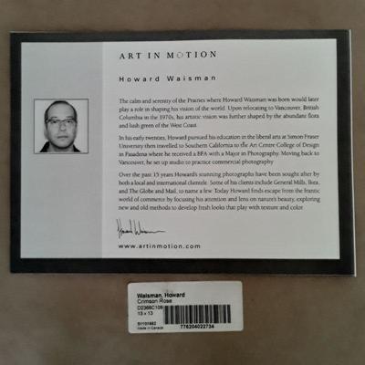 Set of 3 Art in Motion by Howard Waisman