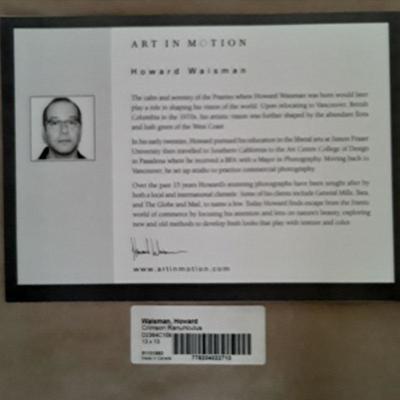Set of 3 Art in Motion by Howard Waisman