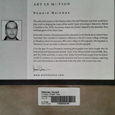 Set of 3 Art in Motion by Howard Waisman