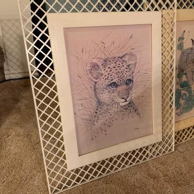 Animal photos with plastic frames!