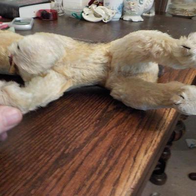 Steiff Made Airedale Dog 1940's with Markings.  Germany.