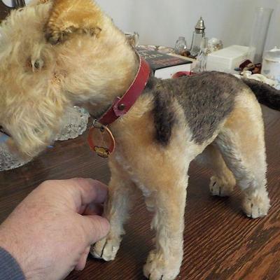 Steiff Made Airedale Dog 1940's with Markings.  Germany.