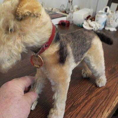 Steiff Made Airedale Dog 1940's with Markings.  Germany.