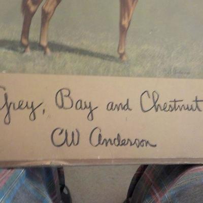 Signed Prints "Grey, Bay and Chestnut by CW. Anderson.