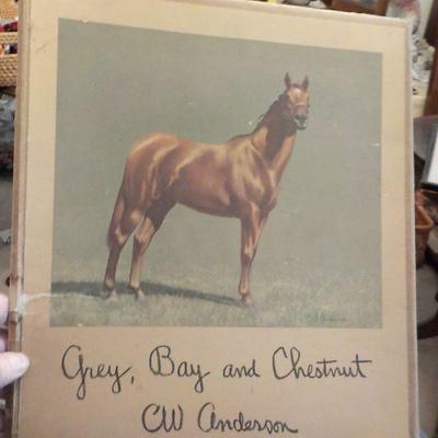 Signed Prints "Grey, Bay and Chestnut by CW. Anderson.