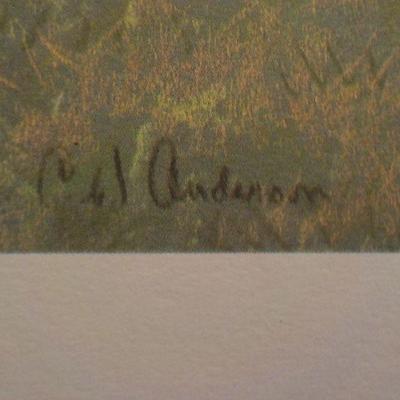 Signed Prints "Grey, Bay and Chestnut by CW. Anderson.