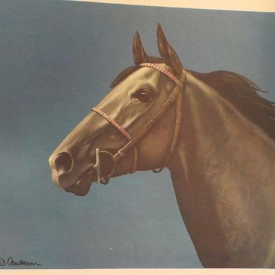Signed Prints "Grey, Bay and Chestnut by CW. Anderson.
