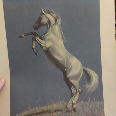 Signed Prints "Grey, Bay and Chestnut by CW. Anderson.