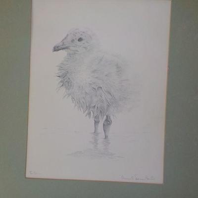 Hand Sketched with pencil by World Famous animal artist Consuelo Eames Hanks. Signed