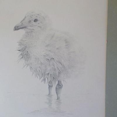 Hand Sketched with pencil by World Famous animal artist Consuelo Eames Hanks. Signed
