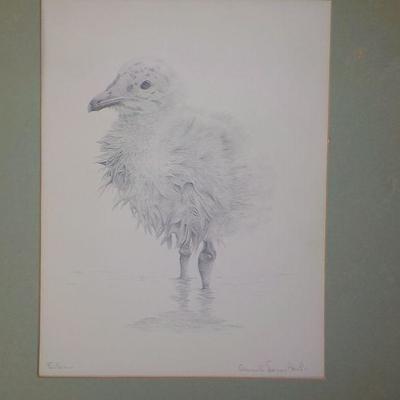 Hand Sketched with pencil by World Famous animal artist Consuelo Eames Hanks. Signed