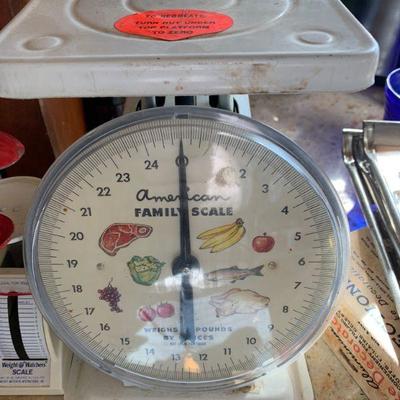 America family food scale