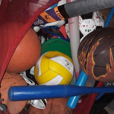 Sports Equipment and Toy Organizer