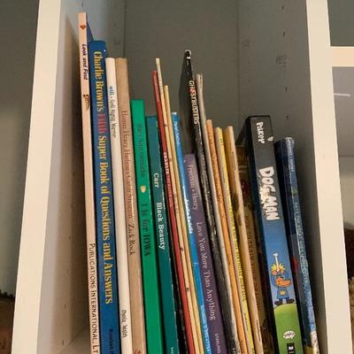 Miscellaneous Kids Books Lot