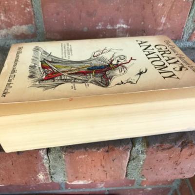 Gray's Anatomy Collector's Edition Softcover Medical Book